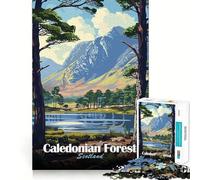 Rompecabezas de 1000 Piezas para Adultos,Paisaje del Bosque caledonio de Escocia,Arte,decoración de Encaje, Juguete de construcción,Juego de Paz,Regalo de cumpleaños (38x52cm)