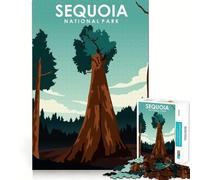 Rompecabezas de 1000 Piezas para Adultos, Parque Nacional Sequoia, decoración de Ajuste, Juguete de construcción, Juego de Paz, Regalo de cumpleaños (50x75cm)