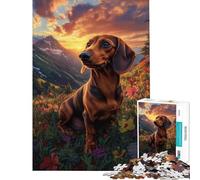 Rompecabezas de 1000 Piezas para Adultos Perro Salchicha Entre Flores Silvestres Rompecabezas para Adultos Juegos Familiares Desafío difícil Desafío Educativo (tamaño 38x52cm)
