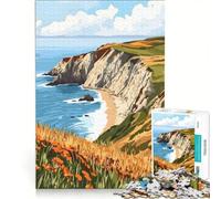 Rompecabezas de 1000 Piezas para Adultos Point Reyes National Seashore California Arte pictórico Juegos Familiares Divertidos y con Humor Un Juego de desafío único 50x75cm