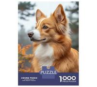 Rompecabezas De 1000 Piezas para Adultos Portrait of A Ginger and White Dog Rompecabezas Juegos Divertidos Vacaciones En Casa Matar El Tiempo Cumpleaños Y Navidad 70x50cm/1000pcs