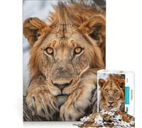 Rompecabezas de 1000 Piezas para Adultos Primer Plano de un león Juegos educativos Entrena tu Cerebro y Tus Manos colección de Artistas Bellas Artes 38x52cm