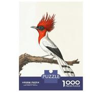 Rompecabezas De 1000 Piezas para Adultos Red-Crested Bird Illustration Rompecabezas para Adultos Juguetes DIY Una Obra De Arte Regalo De Cumpleaños, Regalos, 70x50cm/1000pcs