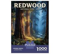 Rompecabezas De 1000 Piezas para Adultos Redwood National Park USA Forest Scene Rompecabezas para Adultos Juegos Relajantes Pero Divertidos Y Humorísticos Desafiante De Completar 52x38cm/1000pcs