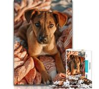 Rompecabezas de 1000 Piezas para Adultos, Regalo de otoño, Perro, Adolescente, Rompecabezas, Vacaciones en casa, con Piezas de Formas aleatorias Totalmente entrelazadas (tamaño 75x50cm)