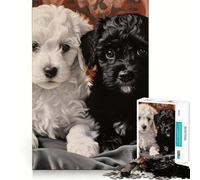 Rompecabezas de 1000 Piezas para Adultos Retrato de Dos Cachorros de caniche Arte de Corte Exacto Juego Creativo para ejercitar la Mente Diversión Garantizada Regalo Ideal para cumpleaños (50x75cm)
