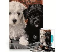 Rompecabezas de 1000 piezas para adultos retrato de dos cachorros de caniche con corte preciso Juego divertido para desarrollar la capacidad de razonamiento Actividad de ocio para cumpleaños (38x52cm)