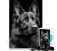 Rompecabezas de 1000 Piezas para Adultos Retrato de Pastor alemán Negro,Juego de Bordes limpios,Juego de lógica,Juego de Entretenimiento,decoración navideña 38x52cm