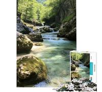Rompecabezas de 1000 Piezas para Adultos Río de Aguas cristalinas en el Bosque Rompecabezas Divertido para Adultos Ideal para aliviar el estrés e interactuar con los Padres (tamaño 38x52cm)