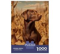 Rompecabezas De 1000 Piezas para Adultos Rompecabezas Chocolate Labrador in Cornfield Rompecabezas para Adultos Juego De Ingenio Decoración del Hogar Juego Desafiante Regalos 52x38cm/1000pcs