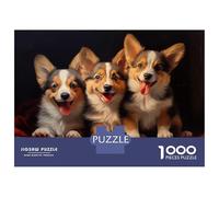Rompecabezas De 1000 Piezas para Adultos Rompecabezas Three Pembroke Welsh Corgi Rompecabezas para Adultos Juegos Relajantes Mejora La Memoria Juego Desafiante Regalos 70x50cm/1000pcs