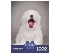 Rompecabezas De 1000 Piezas para Adultos Rompecabezas Yawning Maltese Puppy Rompecabezas para Adultos Juego De Ingenio Decoración del Hogar Juego Desafiante Regalos 52x38cm/1000pcs