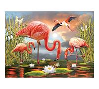 Rompecabezas de 1000 piezas para adultos ROSILAND Solomon Flamingos Premium Puzzle Collection Blueboard Jigsaw en una Sort-R-Box por KI Puzzles