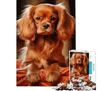 Rompecabezas de 1000 Piezas para Adultos Ruby Cavalier King Charles Spaniel Juegos Familiares Desafío de Inteligencia Cerebral Juguetes adictivos Gran Regalo para la diversión Familiar (38x52cm)