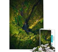 Rompecabezas de 1000 Piezas para Adultos Santuario Tropical Secreto Rompecabezas para Adultos Juego de ingenio análisis y lógica cumpleaños y Navidad (Tamaño 38x26cm)