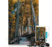 Rompecabezas de 1000 Piezas para Adultos Sendero del Bosque otoñal,Juego de construcción de articulaciones,Juego Divertido para Pensar,Juego Relajante,Actividad de cumpleaños (50x75cm)