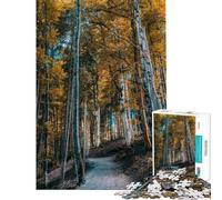 Rompecabezas de 1000 Piezas para Adultos Sendero del Bosque otoñal Rompecabezas para Adultos Análisis y lógica Difícil y desafiante Juego Educativo Familiar 38x26cm