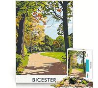 Rompecabezas de 1000 Piezas para Adultos Sendero del Parque Bicester,Juego de Corte sin Costuras,Juego de ingenio,Juego Casual, (50x75cm)