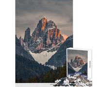 Rompecabezas de 1000 Piezas para Adultos Sexten decoración del hogar Juguetes Ideas de Regalos Juego Familiar con Piezas de Formas aleatorias Totalmente entrelazadas tamaño 50x75cm