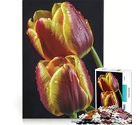Rompecabezas de 1000 Piezas para Adultos Tulipanes en Primer Plano Juego Imposible Ideal para Pasar el Tiempo en casa Regalo de cumpleaños o para viajeros 50x75cm