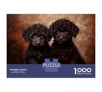Rompecabezas De 1000 Piezas para Adultos Two Black Poodle Puppies Rompecabezas para Adultos: Análisis Práctico del Juego Y Lógica, Toda La Familia 38x26cm/1000pcs