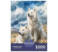 Rompecabezas De 1000 Piezas para Adultos Two Samoyed Dogs in A Field Rompecabezas para Adultos Juegos De Relajación Regalos para Mujeres Desafío Educativo 38x26cm/1000pcs