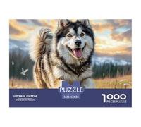 Rompecabezas de 1000 Piezas para Adultos: un Perro Esquimal Corriendo por un Campo de Hierba. Juegos educativos Aptos para descompresión. 52 x 38 cm (1000 Piezas).