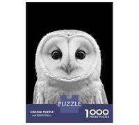 Rompecabezas De 1000 Piezas para Adultos White Barn Owl Portrait Photo Rompecabezas para Adultos Juegos Relajantes Pero Divertidos Y Humorísticos Desafiante De Completar 70x50cm/1000pcs