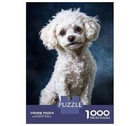 Rompecabezas De 1000 Piezas para Adultos White Poodle Portrait Rompecabezas para Adultos Juegos Divertidos Una Obra De Arte Oferta como Regalos para Toda La Familia 70x50cm/1000pcs