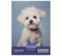 Rompecabezas De 1000 Piezas para Adultos White Poodle Puppy Rompecabezas para Adultos Juegos De Relajación Regalos para Mujeres Desafío Educativo 70x50cm/1000pcs
