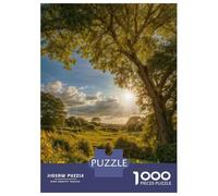 Rompecabezas De 1000 Piezas para Adultos Wildflower Field at Dawn Rompecabezas para Adultos Juguetes DIY Una Obra De Arte Regalo De Cumpleaños, Regalos, 38x26cm/1000pcs
