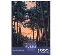 Rompecabezas De 1000 Piezas para Adultos Y Adolescentes Camper Van Forest Rompecabezas para Adultos Juego Práctico Una Obra De Arte Difícil Y Desafiante 38x26cm/1000pcs
