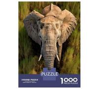 Rompecabezas De 1000 Piezas para Adultos Y Adolescentes Elephant Walking in Grass Rompecabezas para Adultos Juego Práctico Una Obra De Arte Difícil Y Desafiante 38x26cm/1000pcs