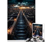 Rompecabezas de 1000 Piezas para Adultos y Adolescentes Laberinto de Piedra al Atardecer Juegos relajantes Regalos para Mujeres Decoración del hogar Juguetes Cada Pieza es única (38x26cm)