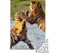Rompecabezas De 1000 Piezas para Adultos Y Adolescentes Tiger Fight in Water-1 Rompecabezas Juego De Ingenio Difícil Regalos De Cumpleaños Y Únicos 70x50cm/1000pcs