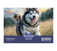 Rompecabezas de 1000 Piezas para Adultos y niños: un Perro Esquimal Corriendo por un Campo de Hierba. Divertido Regalo y Actividad para el hogar a Partir de 12 años. 70 x 50 cm/1000 Piezas.