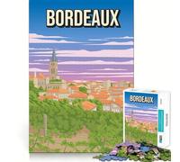 Rompecabezas de 1000 Piezas,póster de Viaje Vintage de Burdeos,Francia,Place De La Bourse,Espejo de Agua,Juego de bordess,Juguete para Entrenar la Mente,Juego Lento y Divertido,Regalo de decoración
