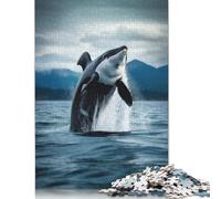 Rompecabezas de 1000 Piezas, Precioso Rompecabezas Cuadrado de Orca para Adultos y niños, Juego de Rompecabezas de Papel, 38 x 26 cm/1000 Piezas