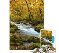 Rompecabezas de 1000 Piezas Río Oirase fluyendo en un Bosque otoñal Rompecabezas para Adolescentes Carrera de Velocidad Manual cumpleaños y Navidad 38x26cm
