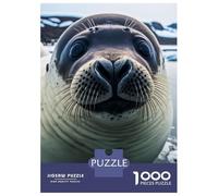 Rompecabezas De 1000 Piezas Sea Lion Portrait Rompecabezas para Adultos Juego De Ingenio Difícil Difícil Único Cumpleaños Y Regalos 70x50cm/1000pcs