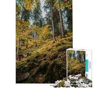 Rompecabezas de 1000 Piezas Sendero del Bosque otoñal Rompecabezas para Adolescentes Difícil Cada Pieza es única Juguetes educativos Juegos 38x52cm