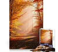 Rompecabezas de 1000 Piezas Sendero en el Bosque otoñal Dorado para Adultos y Adolescentes Juguete de lógica sólida, diversión silenciosa, Corte preciso, selección de Deseos de Papá Noel (38x52cm)