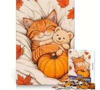 Rompecabezas de 1000 Piezas Siesta de Gato otoñal con Osito de Peluche para adolescentesUn desafío inteligenteActividad tranquilaCierre finoUn Regalo Encantador(38x26cm)