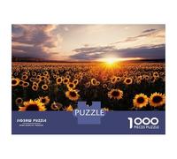 Rompecabezas De 1000 Piezas Sunflower Field at Sunset Rompecabezas para Adultos Juego Práctico para Aliviar El Estrés Cumpleaños Y Navidad 70x50cm/1000pcs