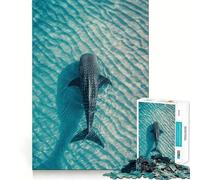 Rompecabezas de 1000 Piezas Tiburón Ballena en Aguas turquesas para Adultos Juego Mental Divertido con tecnología Avanzada de Corte láser Un Reto entretenido para Pasar el Tiempo (38x52cm)