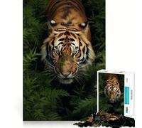 Rompecabezas de 1000 Piezas Tigre Caminando en la Hierba para Adultos Juguete Inteligente para divertirse en Interiores Corte Suave Elige tu Deseo de Papá Noel 50x75cm