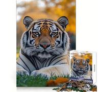 Rompecabezas de 1000 Piezas Tigre descansando en un Campo de Hierba para Adolescentes Juguete de lógica Resistente Diversión y Ocio Bordes Transparentes Artículo de colección 38x26cm
