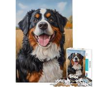 Rompecabezas de 1000 Piezas Un Alegre Perro bernés en un Campo de Trigo Rompecabezas para Adultos y familias Entrena tu Cerebro y Tus Manos Regalo Ideal para Reducir el estrés 38x26cm