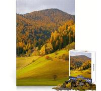Rompecabezas de 1000 Piezas Valle de Montaña Dolomitas para Adultos Regalo Ideal para Jugar a la Mente, divertirse en compañía Diseño Impecable Sorpresa de cumpleaños (38x52cm)