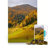Rompecabezas de 1000 Piezas Valle de Montaña Dolomitas para Adultos Regalo Ideal para Jugar a la Mente, divertirse en compañía Diseño Impecable Sorpresa de cumpleaños (38x52cm)